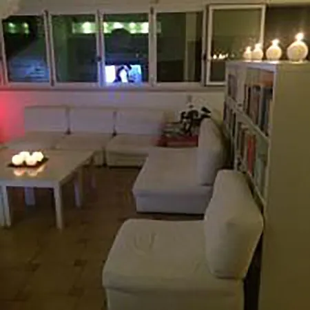 Il Falco E Il Gabbiano