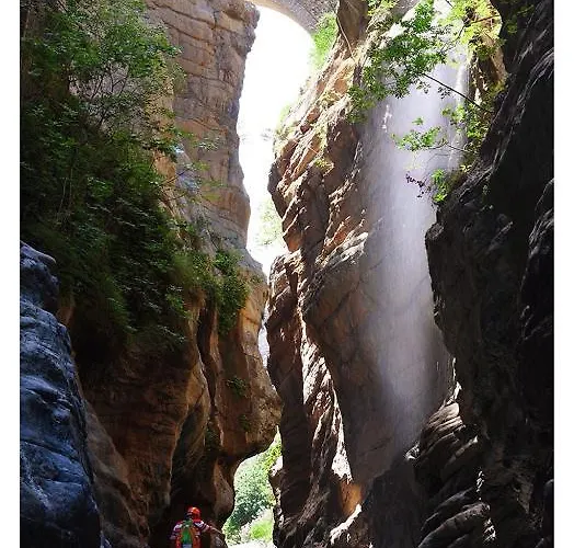 Il Falco E Il Gabbiano