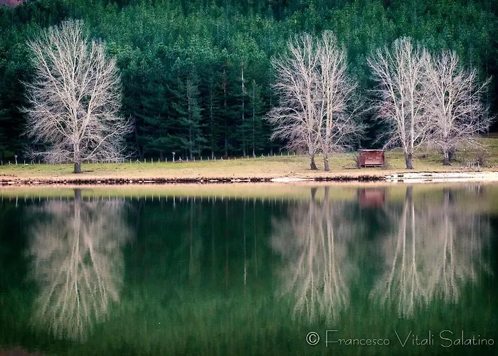 Il Falco E Il Gabbiano