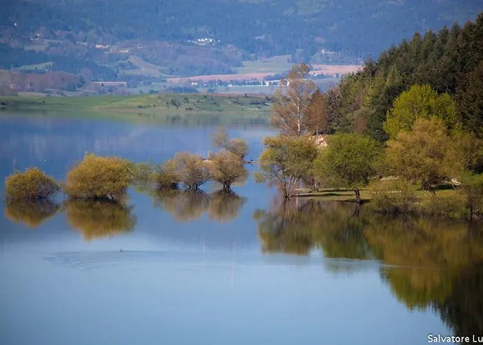 Il Falco E Il Gabbiano Corigliano Calabro