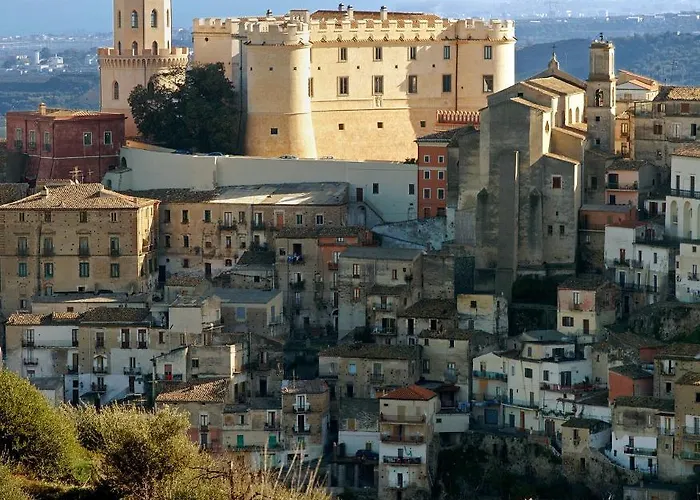 Il Falco E Il Gabbiano