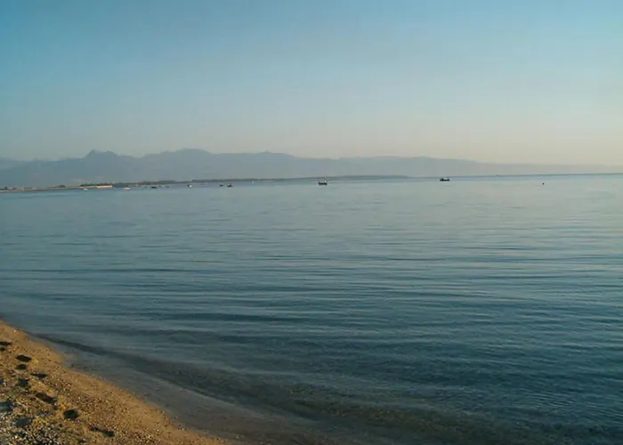 Il Falco E Il Gabbiano