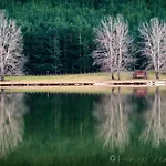 Il Falco E Il Gabbiano
