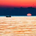 Il Falco E Il Gabbiano 4*