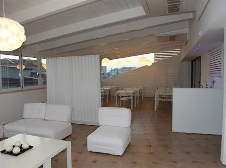 Il Falco E Il Gabbiano