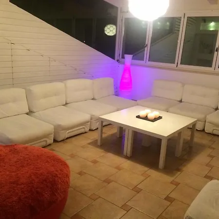 Il Falco E Il Gabbiano