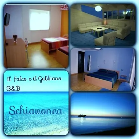 Il Falco E Il Gabbiano Corigliano Calabro