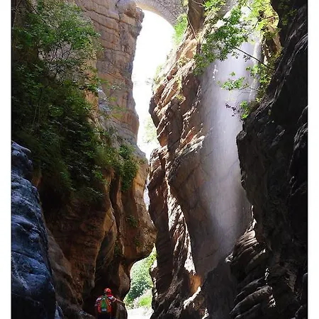 Il Falco E Il Gabbiano