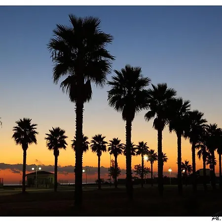 Il Falco E Il Gabbiano B&B 4*