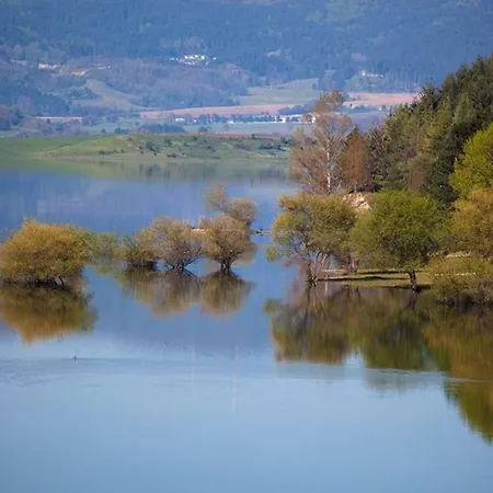 Il Falco E Il Gabbiano 코릴리아노칼라브로