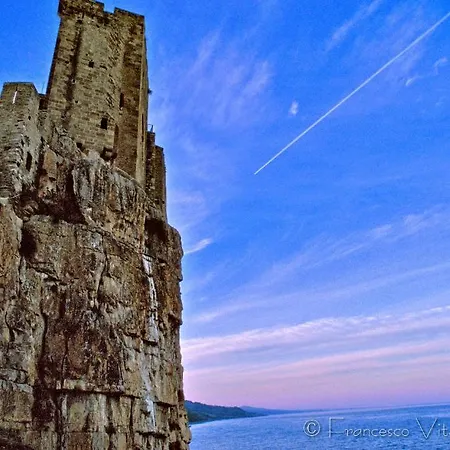 Il Falco E Il Gabbiano Frühstückspension 4*