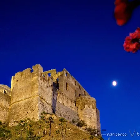 Il Falco E Il Gabbiano 4*