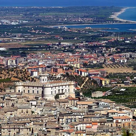 Il Falco E Il Gabbiano