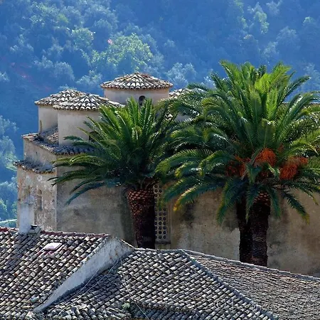 Il Falco E Il Gabbiano