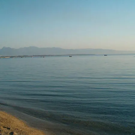 Il Falco E Il Gabbiano