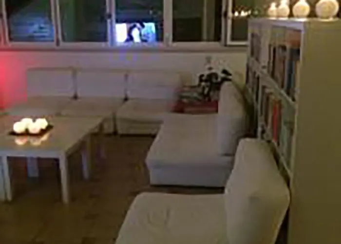 Il Falco E Il Gabbiano