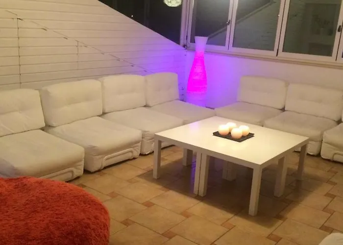 Il Falco E Il Gabbiano