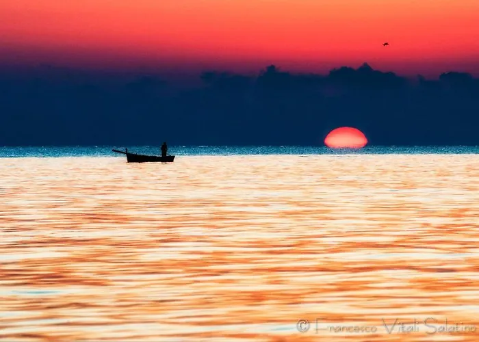 Il Falco E Il Gabbiano 4*