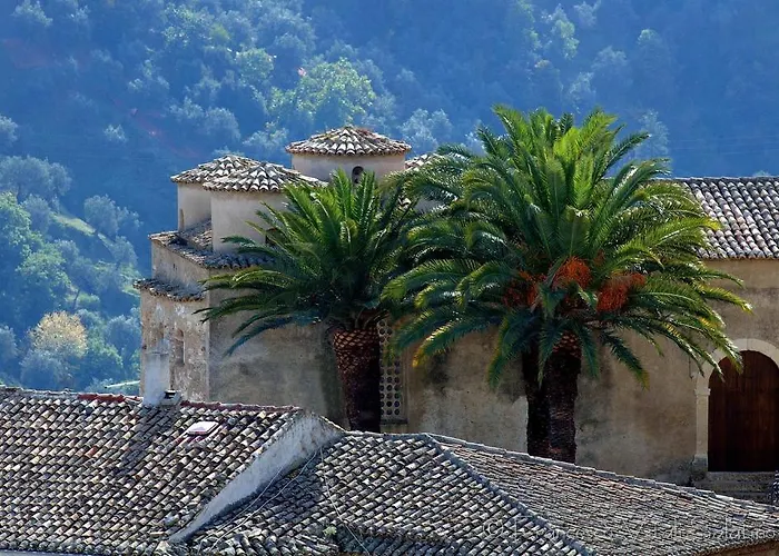 Il Falco E Il Gabbiano